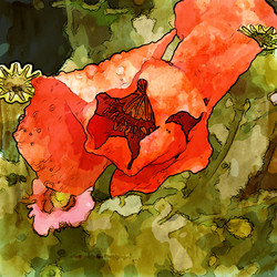 Similar image 7893397