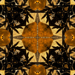 Similar image 7893422