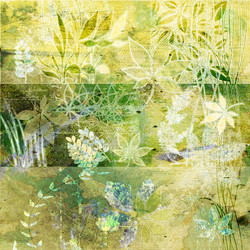 Similar image 7893430