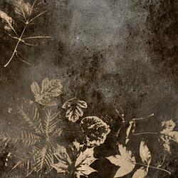 Similar image 7893436