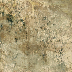 Similar image 7893443