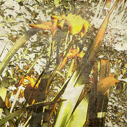 Similar image 7893444