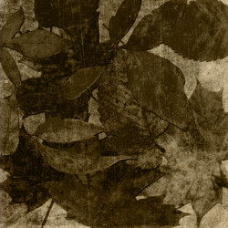 Similar image 7893447