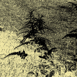 Similar image 7893451