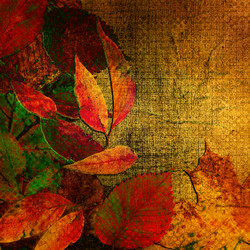 Similar image 7893455