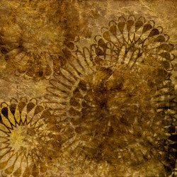 Similar image 7893476