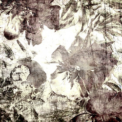 Similar image 7893481