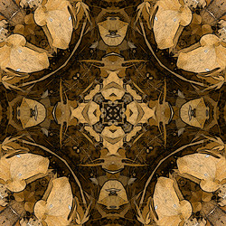 Similar image 7893486