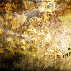 Similar image 7893489