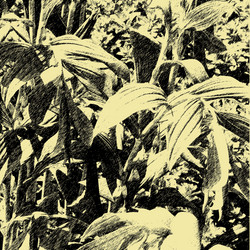 Similar image 7893503