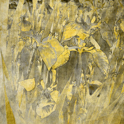 Similar image 7893507