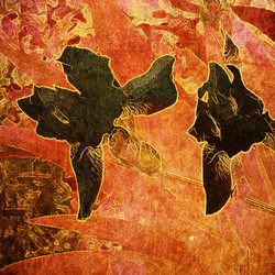 Similar image 7893508