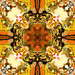 Similar image 7893533