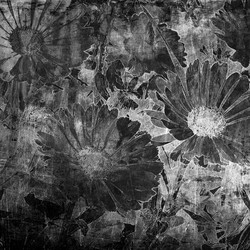 Similar image 7893544