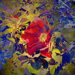 Similar image 7893595