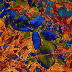 Similar image 7893609