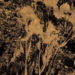 Similar image 7893620