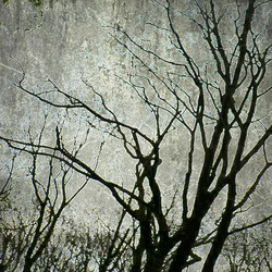 Similar image 7893623