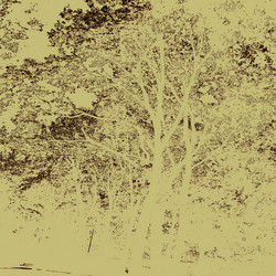 Similar image 7893632