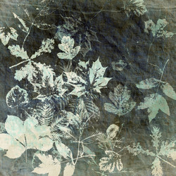 Similar image 7893636