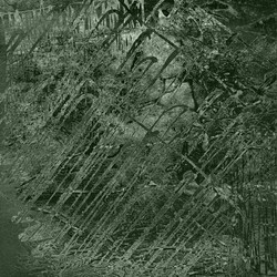 Similar image 7893667