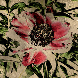 Similar image 7893670