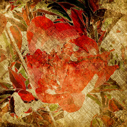 Similar image 7893721