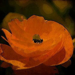 Similar image 7893767