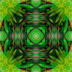 Similar image 7893772