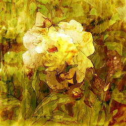 Similar image 7893781