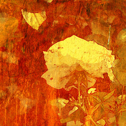 Similar image 7893809