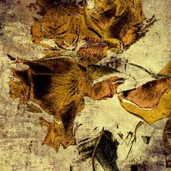 Similar image 7893812