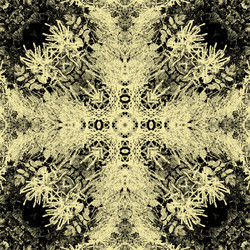 Similar image 7893832