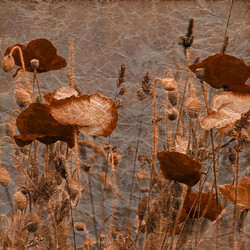 Similar image 7893839