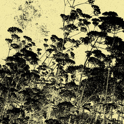 Similar image 7893870