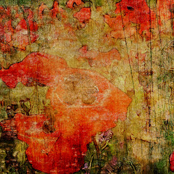 Similar image 7893873