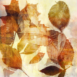 Similar image 7893899