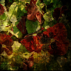 Similar image 7893904