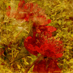 Similar image 7893909