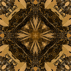 Similar image 7893912