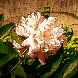 Similar image 7893915