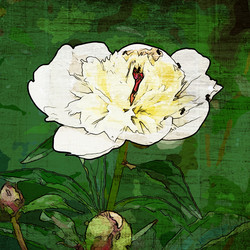 Similar image 7893932