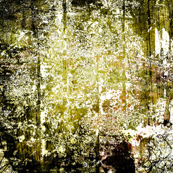 Similar image 7893953