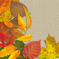 Similar image 7893980