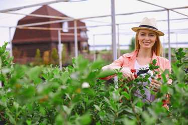 Similar image 7894035