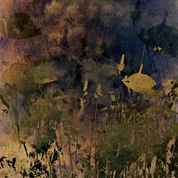 Similar image 7894056