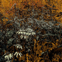 Similar image 7894089