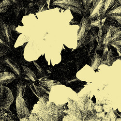 Similar image 7894105