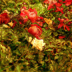 Similar image 7894118