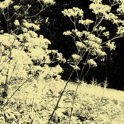 Similar image 7894123